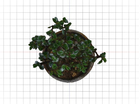 GLAZED BOWL Bonsai 3D Model