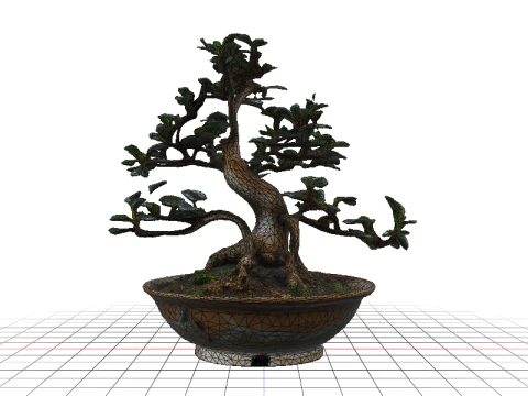 GLAZED BOWL Bonsai 3D Model