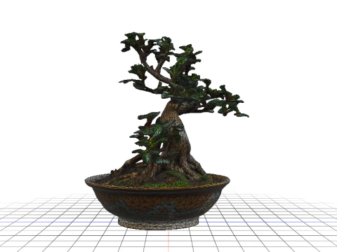 GLAZED BOWL Bonsai 3D Model