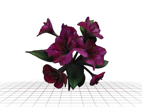 Bougainvillea 3D 模型