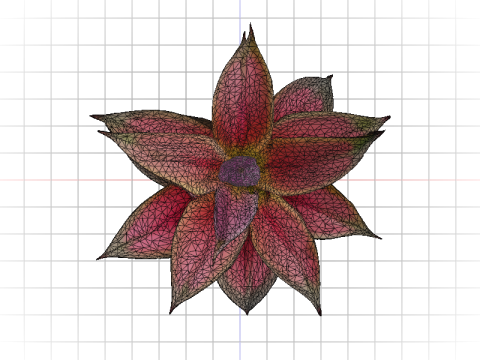 Hyperreal Bromeliad 3D Model