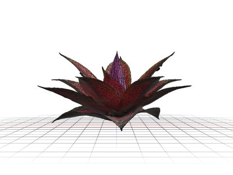 Hyperreal Bromeliad 3D Model