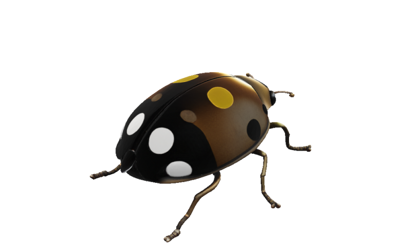 Bronze Ladybug Sculpture 3D Модель .c4d .max .obj .3ds .fbx .stl .blend 
