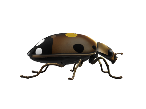 Bronze Ladybug Sculpture 3D Модель