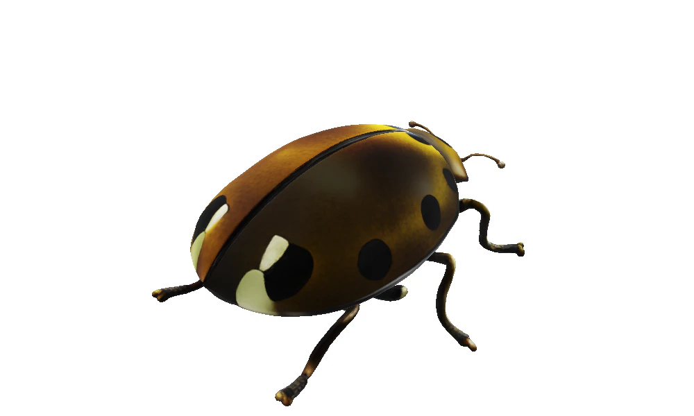 Codebox Bronze Ladybug 3D Model .c4d .max .obj .3ds .fbx .stl .blend 