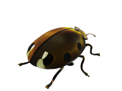 Codebox Bronze Ladybug 3D Model