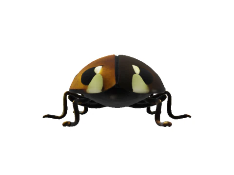 Codebox Bronze Ladybug 3D Model