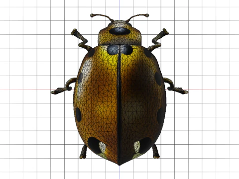 Codebox Bronze Ladybug 3D Model