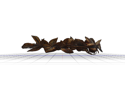 Rustic Golden Filigree Wreath Headband Modèle 3D