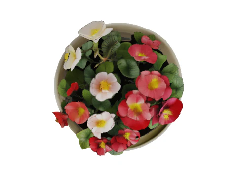 Blooming Geranium Ceramic Planter 3D Model