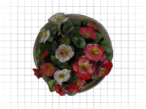 Blooming Geranium Ceramic Planter 3D Model