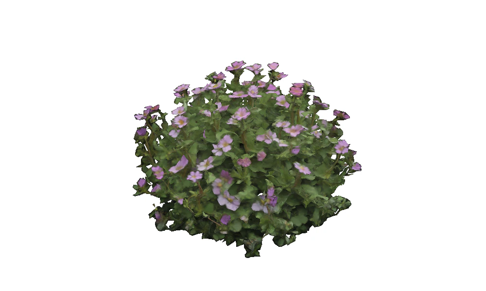 FLORAL bundle Thyme 3D Model .c4d .max .obj .3ds .fbx .stl .blend 