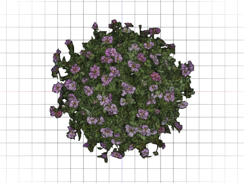 FLORAL bundle Thyme 3D 모델
