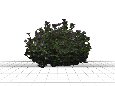 FLORAL bundle Thyme 3D 모델