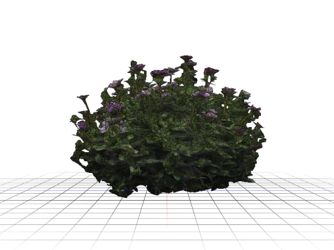 FLORAL bundle Thyme 3D Model