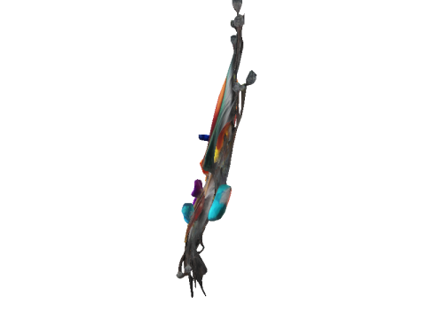 Crystal Peacock Feather Display Modèle 3D