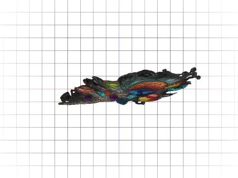 Crystal Peacock Feather Display Modèle 3D