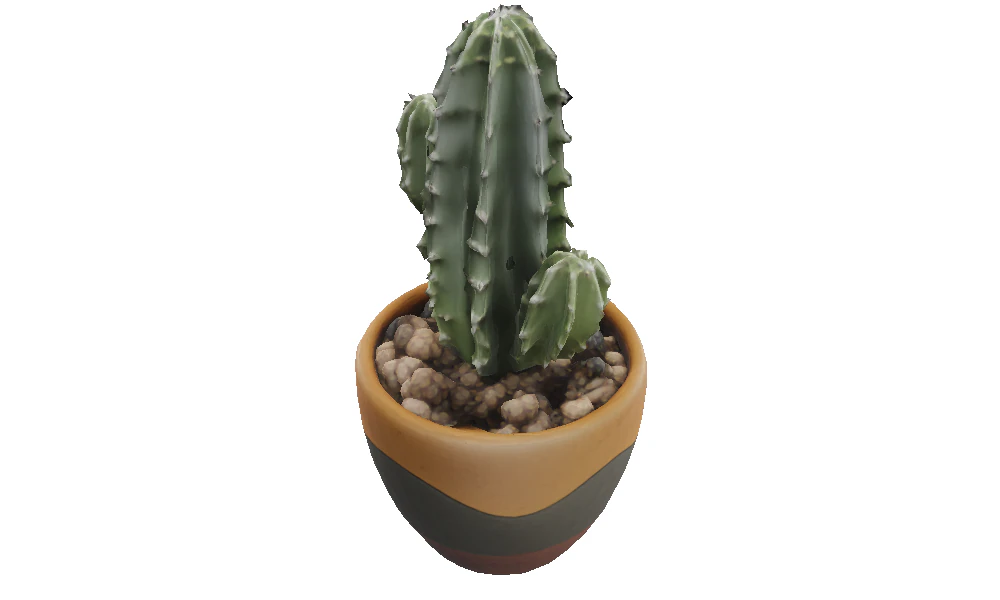 Desert Bloom cactus 3D Model .c4d .max .obj .3ds .fbx .stl .blend 