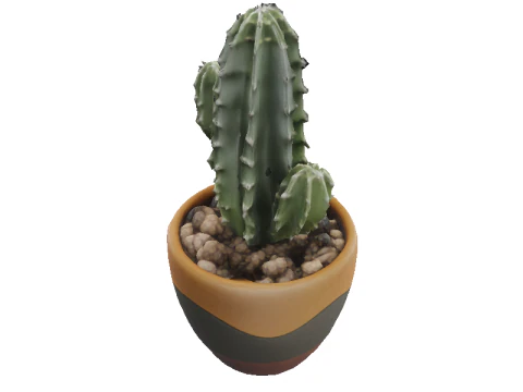 Desert Bloom cactus 3D Model