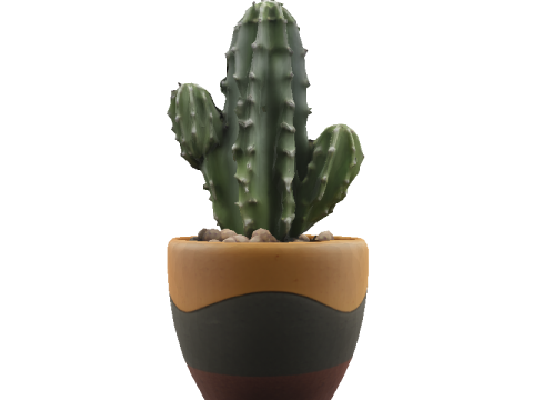 Desert Bloom cactus 3D Модель