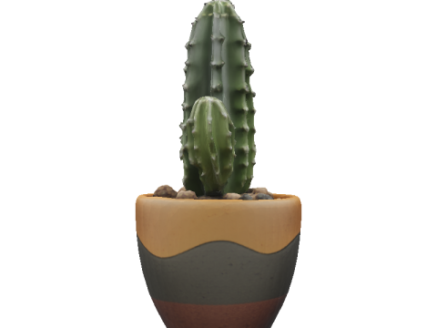 Desert Bloom cactus 3D Модель