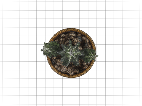 Desert Bloom cactus 3D Модель