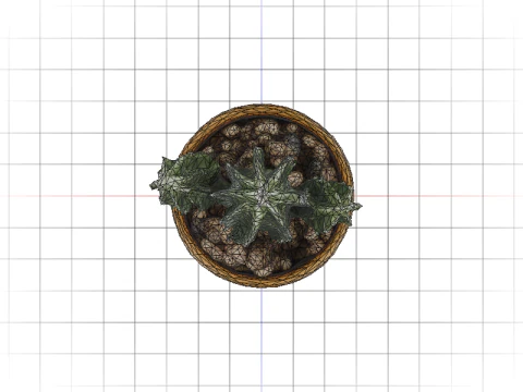 Desert Bloom cactus 3D Model