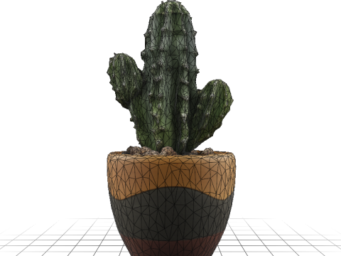 Desert Bloom cactus 3D Модель
