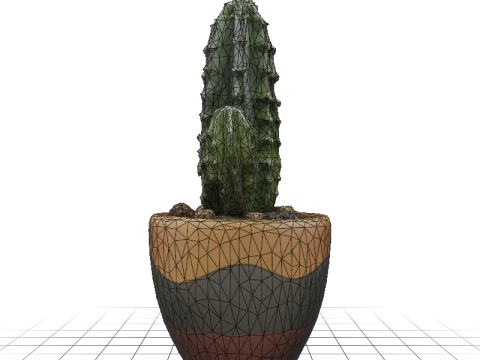 Desert Bloom cactus 3D Модель