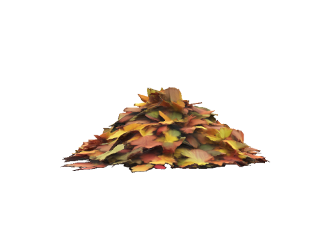 Autumn Leaf Pile 3D Model