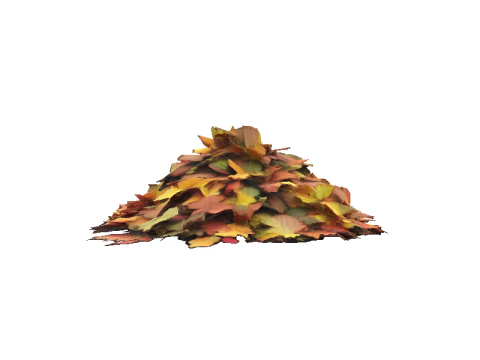 Autumn Leaf Pile 3D Model