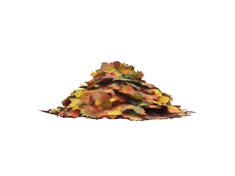 Autumn Leaf Pile 3D Model