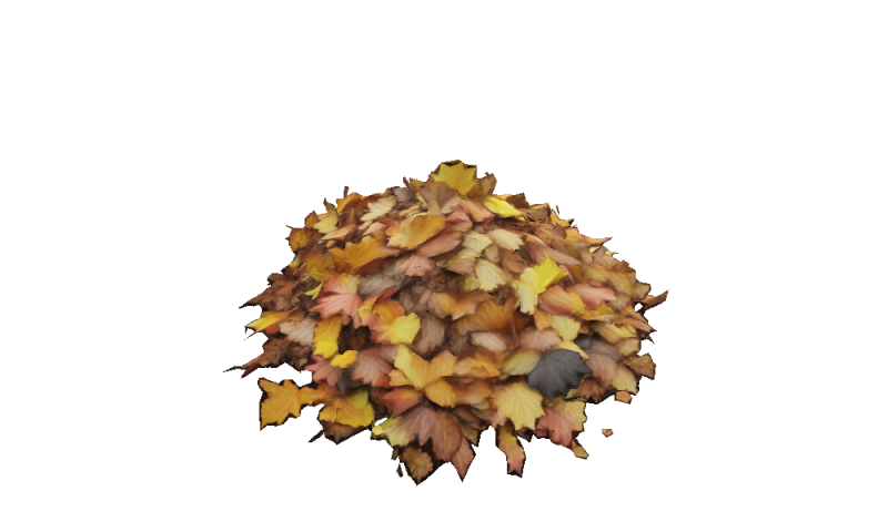 Hyperrealistic Autumn Leaves 3D 模型 .c4d .max .obj .3ds .fbx .stl .blend