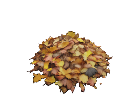 Hyperrealistic Autumn Leaves 3D 모델