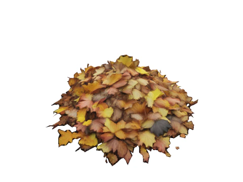 Hiperrealistyczne jesienne liście Model 3D