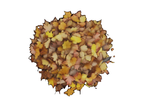 Hyperrealistic Autumn Leaves 3D Model