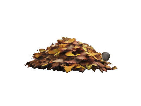 Hyperrealistic Autumn Leaves 3D 模型