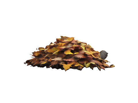 Hyperrealistic Autumn Leaves 3D Model