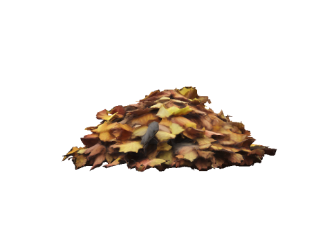 Hyperrealistic Autumn Leaves 3D 模型
