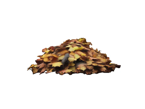 Hyperrealistic Autumn Leaves 3D Model