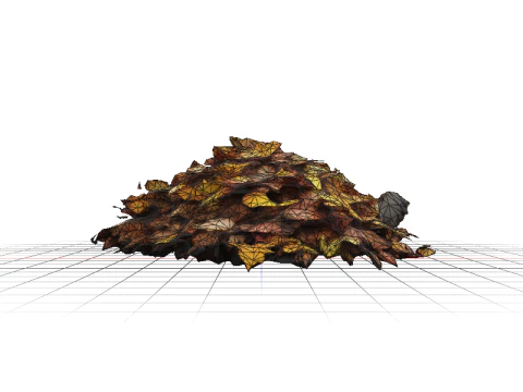 Hyperrealistic Autumn Leaves 3D Model