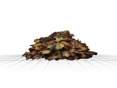 Hyperrealistic Autumn Leaves 3D Model