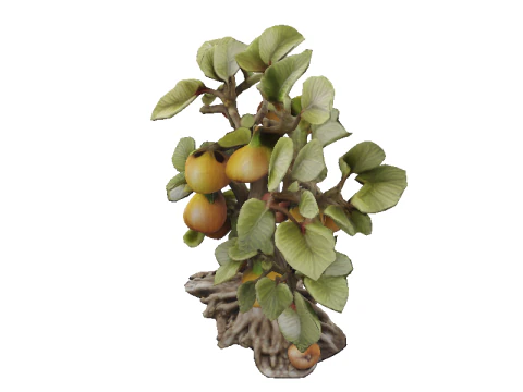 Амулет Фигового Дерева 3D Модель