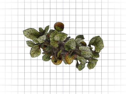 Fig-Tree Amulet 3D Модель
