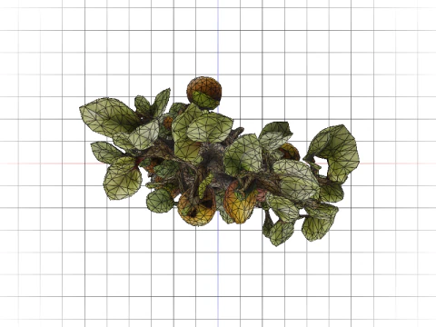Fig-Tree Amulet 3D Model