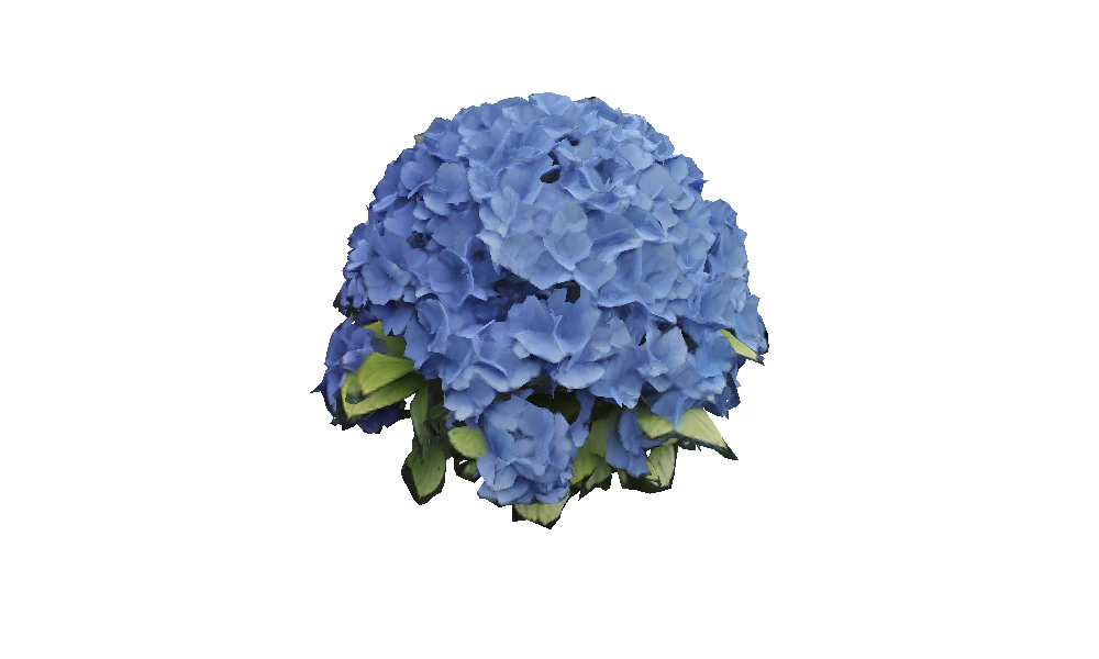 Hyperrealistic Blue Hydrangea 3D Model .c4d .max .obj .3ds .fbx .stl .blend 