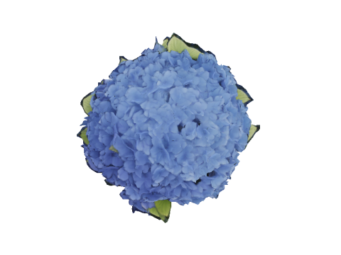Hyperrealistic Blue Hydrangea 3D 模型