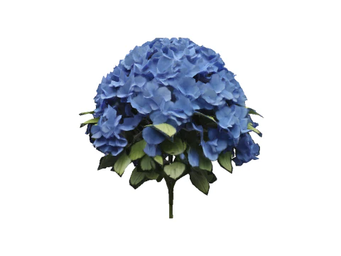 Hyperrealistic Blue Hydrangea 3D Model