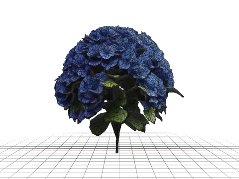 Hyperrealistic Blue Hydrangea 3D Model