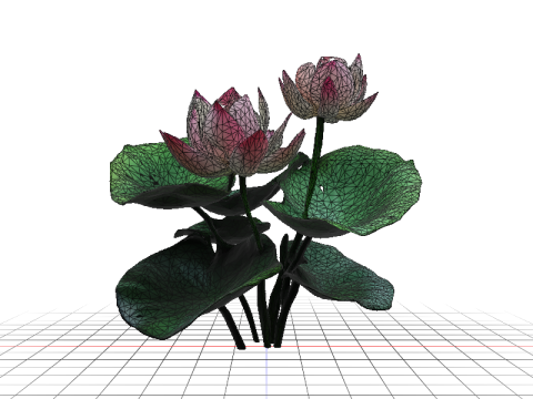 Pink Lotus Bloom 3D Модель